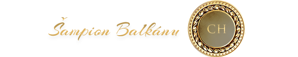 Šampion Balkánu
