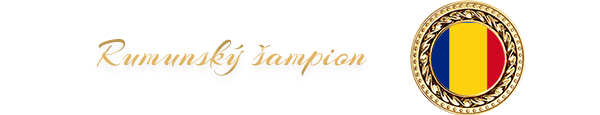 Šampion Rumunska