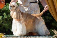 Zone of Love Bubaloo´s  